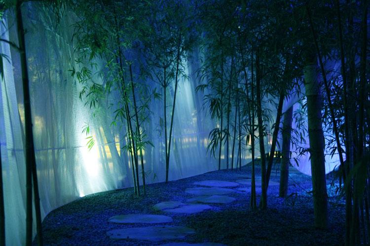 章子怡看秀造型,穿雨衣抱小熊布偶,时尚俏皮哪像孩子妈