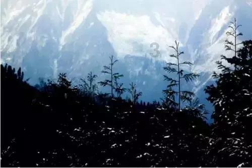 逃离宝藏岛屿