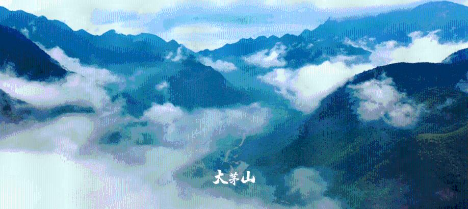 解答你疑惑,面条VS米饭,哪个吃了更容易长胖?问答社区来啦!