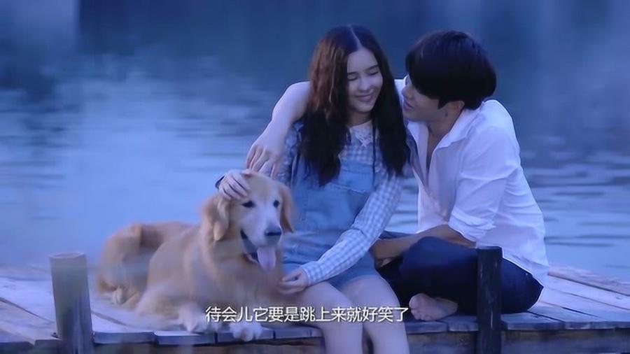 拯救穆尔小马