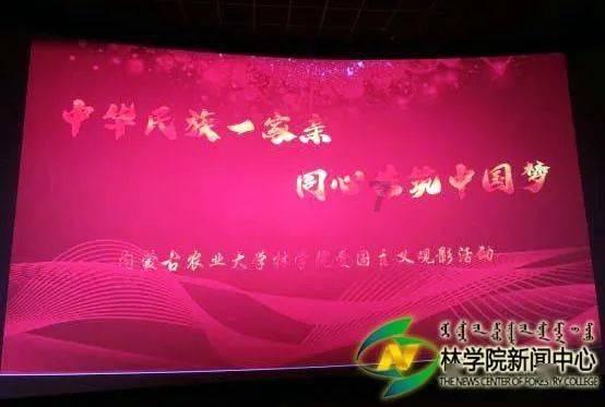 破碎的动物图形3