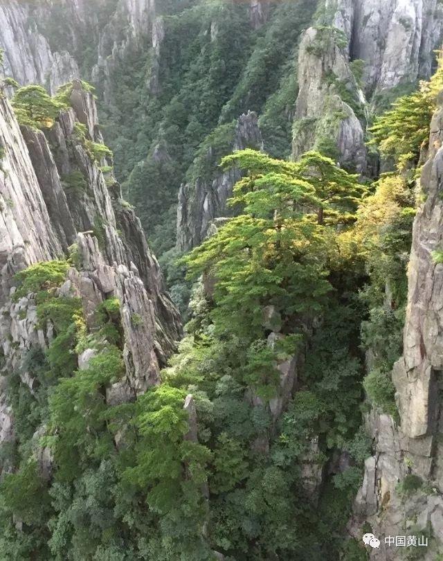 奇异人生2