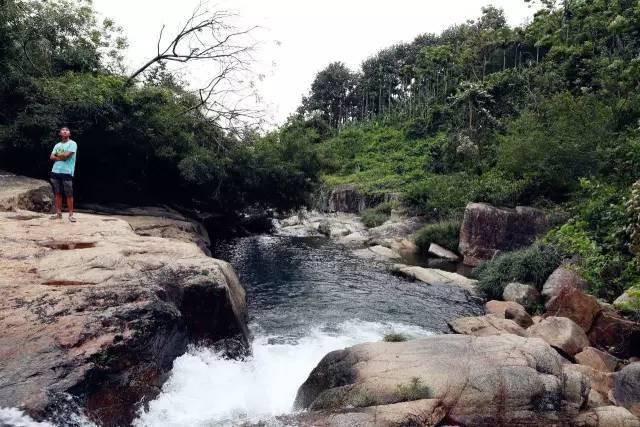 清廉辰溪 家风故事|第十二期:袁隆平写给妈妈的信——《妈妈,稻子熟了》