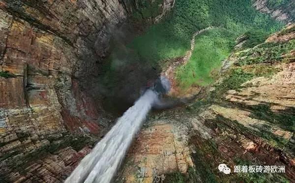 八款食物来祛湿化痰，为您健康保驾护航