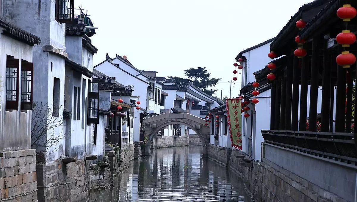 探索吉鹿力——水培植物要怎么施肥?问答社区