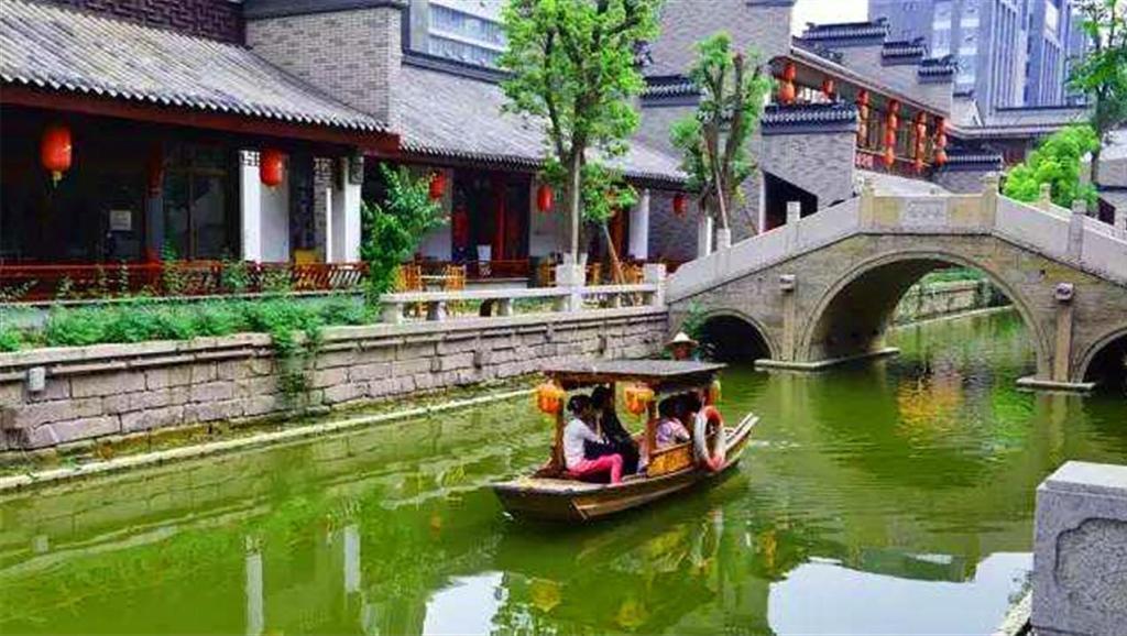 拯救精灵的土地9