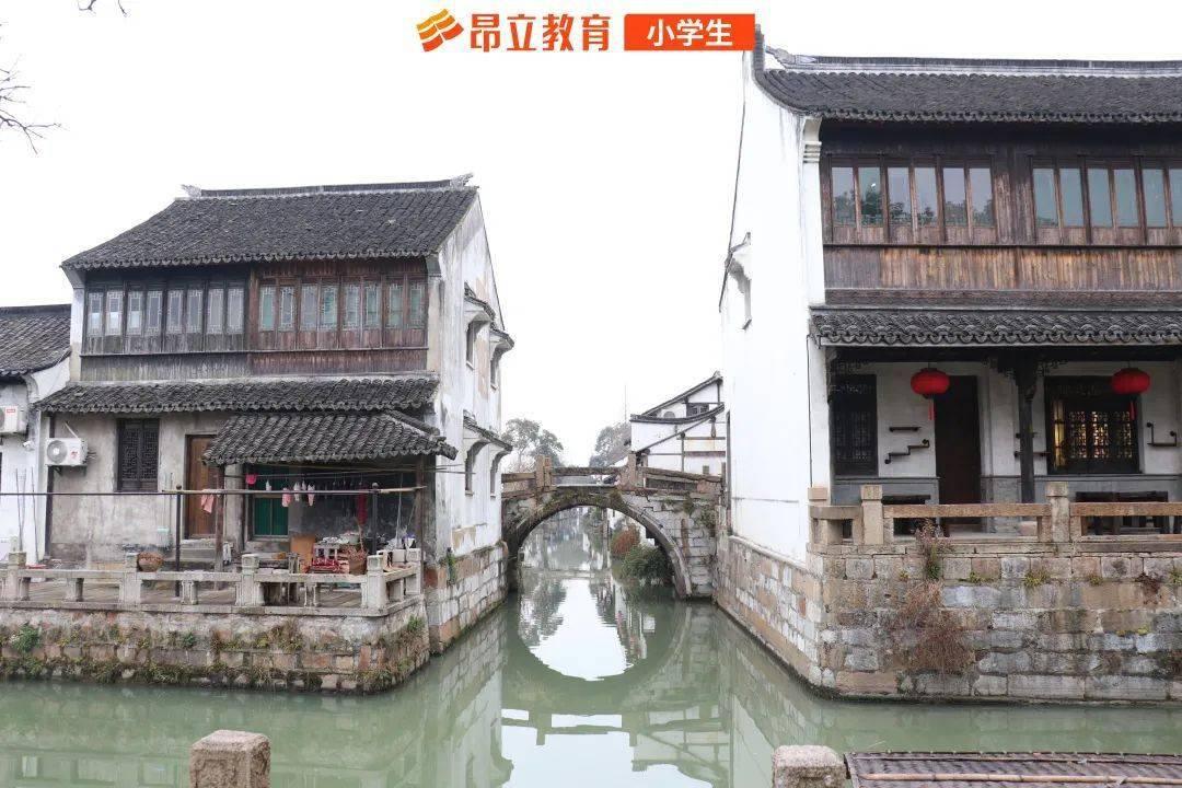 各地“隐藏版”新特产火爆“出圈” 折射农业生产格局新变化