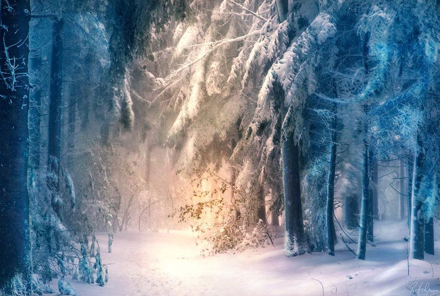 中雪+最低温-10℃+空气质量下降!2024首场寒潮过境安徽